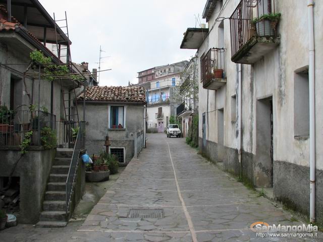 Rughe suprane 005